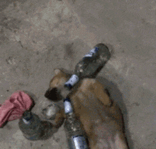 妹子|搞笑GIF：原来要想击败一个猛男就是这样的简单呀!你们懂了吗？