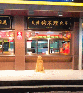 店家|搞笑GIF: ?店家你的包子不太正宗啊, 你看狗都舍不得走