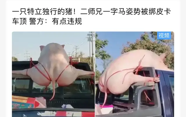 帮主|你手机里有搞笑图片么，分享几张好么？