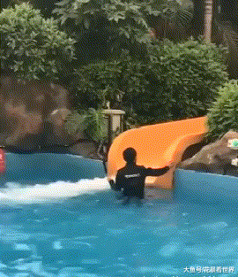 还是|搞笑gif趣图: 难道我平时给你的肉肉还不够你吃的?还是你想尝点新鲜的?