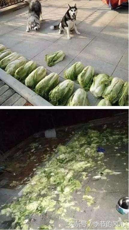 妹子|昨晚约了个妹子,今早起床怎感觉自己吃亏了