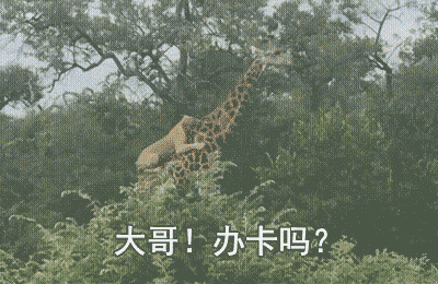 还是|搞笑GIF：还是如此的冷漠