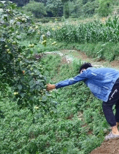 肘子|搞笑GIF趣图:大哥,大肘子虽然好吃,但你这吃相真难看