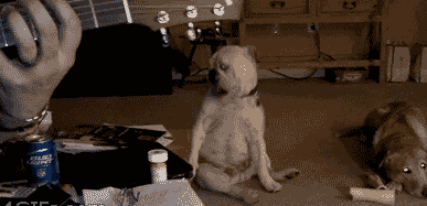 阿旺|搞笑GIF:专业拔牙,技术一流!!