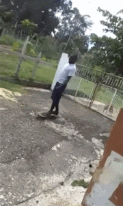 不意|童年的我,没和跟我玩我就跟猪玩