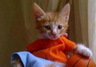 男友|开心一刻: 上个星期六，我第一次在男友家吃饭！