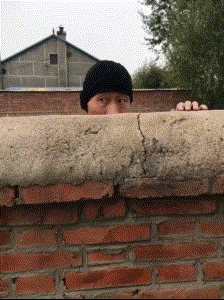 老子|搞笑GIF:黑猩猩:这饲养员连脸都不给老子洗,让老子怎么见人啊