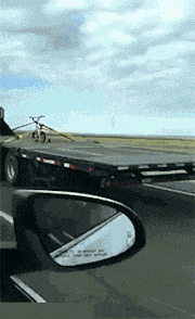 就是|第二张图太魔性了，我跟着这条狗子笑了起来！