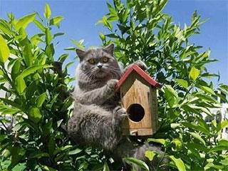 绝望|搞笑gif: 孩子，你经历过绝望吗？