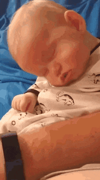 这是|搞笑GIF趣图：我裤子都脱了，你却给我看这个