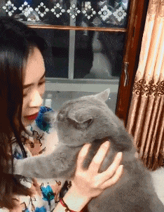 小姨子|三个女人一台戏,这句话是很有道理的!