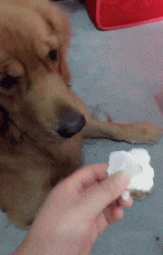 杯水|搞笑GIF: 别再向后退了,快来接住这杯水!