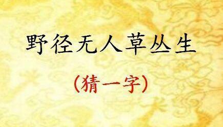 |笑到嘴疼的二十张图（fxa555）