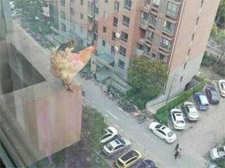 冬天|搞笑gif: 大冬天玩泼水,你们不冷吗!