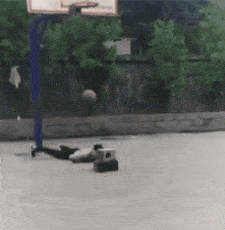 转圈圈|搞笑GIF动图：爱的魔力转圈圈，一圈又一圈