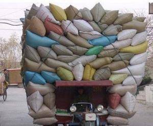 寿司|手欠的下场，这次出不来了吧