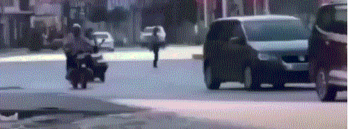 就是|搞笑GIF图:妹子,你是个有才华的人,就是太贪玩了!