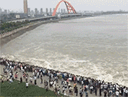 栗子|搞笑GIF趣图:美女，这下尴尬了吧，以后下雨就别穿拖鞋啦！