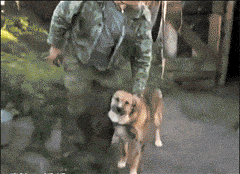 大妈|大妈这个暴脾气啊,一言不合就突然蹦起来了呢!