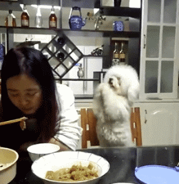 奇才|搞笑GIF:我都这样了,你就不能给我点?