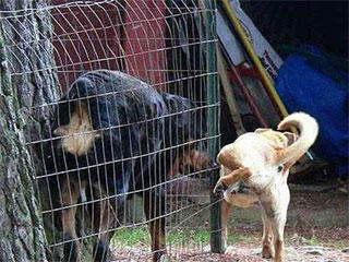 水管|搞笑gif: ?这要是不会劈叉, 还真应付不过来