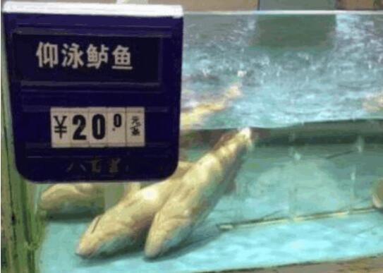 废话|爆笑段子：我竟然可以用眼睛吃饭。