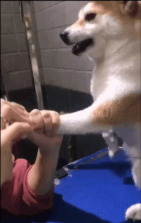 搞笑|搞笑GIF:吓死人了