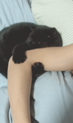 同事|搞笑GIF趣图:大哥，你把媳妇吓得不轻啊，看你等会怎么办！