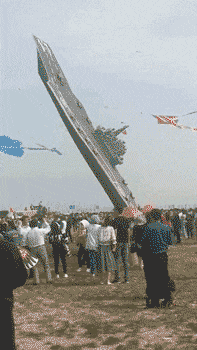 妹子|搞笑GIF:你们认为是这狗的错还是人的错