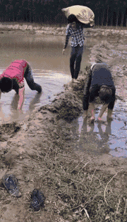 鹌鹑|动作挺熟练啊！说，甩过几个了？