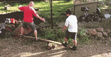 再不|搞笑GIF: 我再不减肥,主人就该拿我下菜了