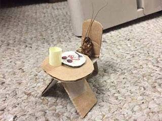 守门员|搞笑gif: 守门员，你这反应是不是慢了点