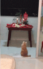 肥胖|搞笑GIF:我觉得这健身床可以好好改造一下你们懂的