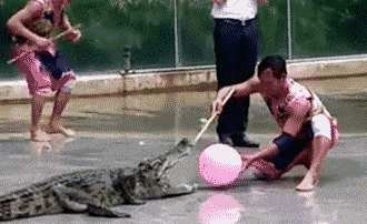 厕所|搞笑GIF动图：终于完成了我小时候想最想观察的结果之一