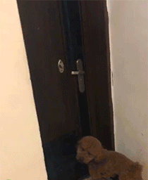 姿势|搞笑GIF趣图:成功的被你喝水的姿势逗笑了