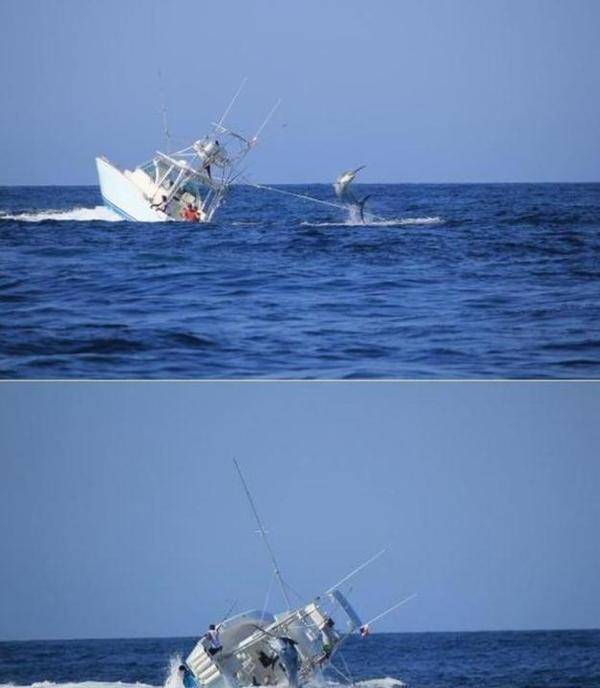 车轮子|弱弱地问一句，假如你遇到这些事，你会哭笑不得么？