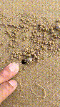 前妻|搞笑GIF动图:上课嗑瓜子,被老师惩罚一人嗑一斤才让进教室!