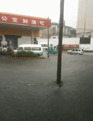 萝卜|搞笑GIF:现在送礼物流行送萝卜吗