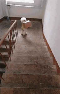 哆啦|搞笑动态图GIF: 哆啦a梦马上要起飞了。