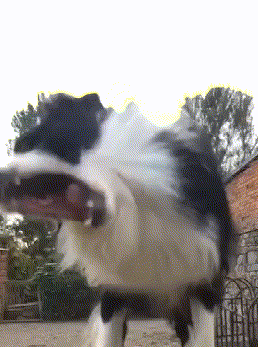 大娘|搞笑GIF趣图：是的，不过你要先打两万做个样子