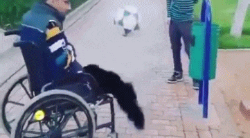 这位|长得都一样漂亮的空姐, 有点看不过来了