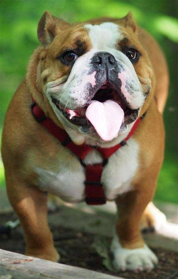 男友|开心一刻: 上个星期六，我第一次在男友家吃饭！