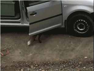 男朋友|搞笑GIF：姑娘，洗洗早点睡吧！你男朋友不会来了！