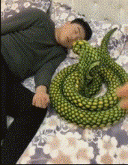 天都|搞笑GIF趣图: 估计这几天都会做噩梦吧！