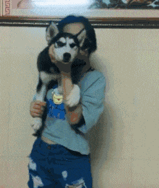 就是|搞笑GIF图:妹子,你是个有才华的人,就是太贪玩了!