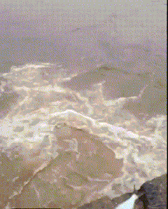 猖狂|搞笑GIF:现在的小偷太猖狂了!我还以为你要偷手机!