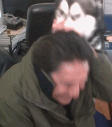 厉害|GIF搞笑趣图:我是让给你玩的,你干什么?一直欺负他!