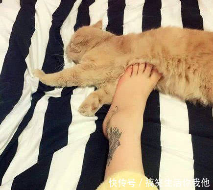 妹子|搞笑GIF动图： 妹子, 你别想跑了