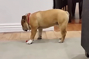 尼玛|每日笑到半疯的二十三张（NO0044）