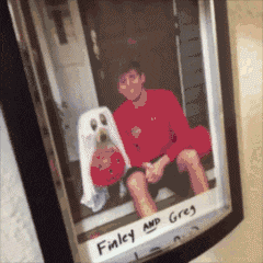 就是|第二张图太魔性了，我跟着这条狗子笑了起来！